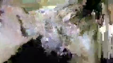 HotShavedCockSoCal online show from 02.25.26