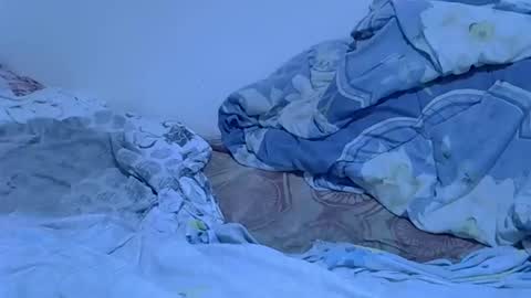 Snapshot of hotsinai_1 chatting on 03.14.26 Sexy girl online show from 03.14.26