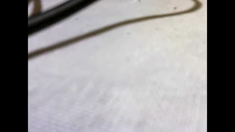 HottestPiny29 online show from 05.26.26