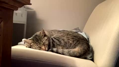 hottiewithabody101 online show from 02.11.26