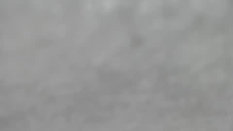 Slutty little female cat online show from 10.12.25