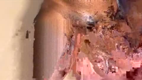 Snapshot of houseesposo chatting on 11.24.25 houseesposo online show from 11.24.25