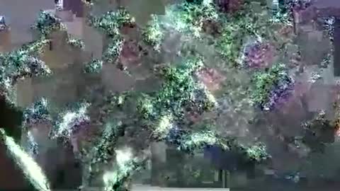 Snapshot of hp58649blabla chatting on 09.17.25 hp58649blabla online show from 09.17.25