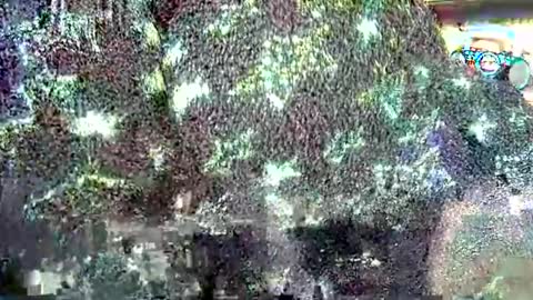 Snapshot of hp58649blabla chatting on 09.24.25 hp58649blabla online show from 09.24.25