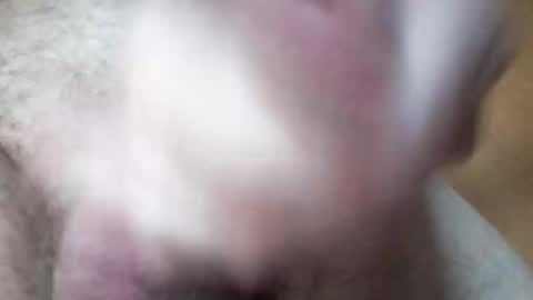 hrubesch2019 online show from 10.26.25