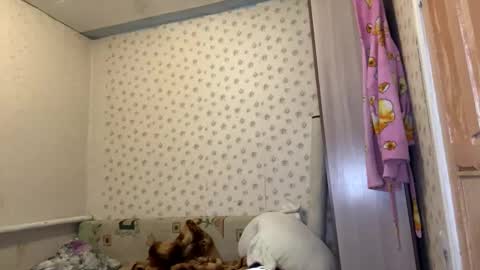 hsiuscherich online show from 01.12.26