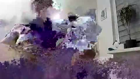 David online show from 03.04.26