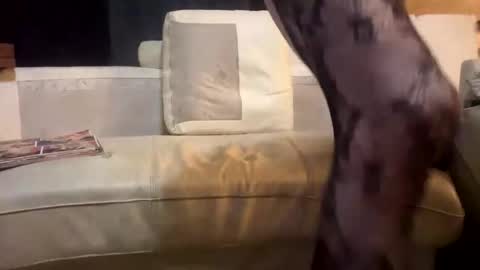 huippari online show from 12.15.25