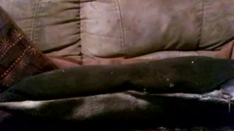 hung420boner online show from 03.03.26