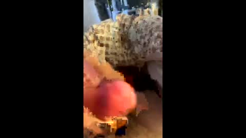 hungminer69 online show from 04.12.26