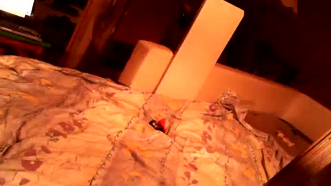 hungryanalslut online show from 02.18.25