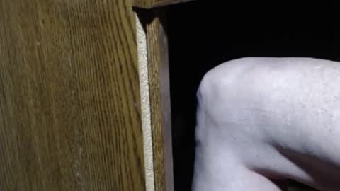 hungsofine online show from 01.12.25