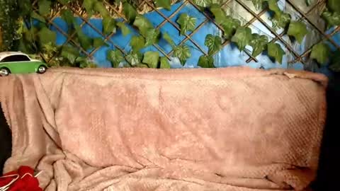 Kayla online show from 12.21.24