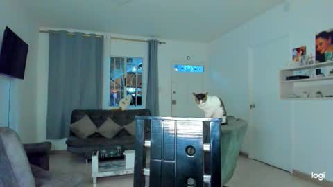 iam_your_fantasy online show from 12.04.25