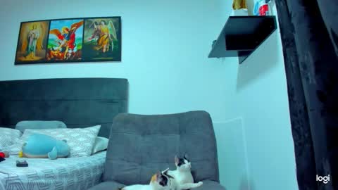 iam_your_fantasy online show from 02.01.26