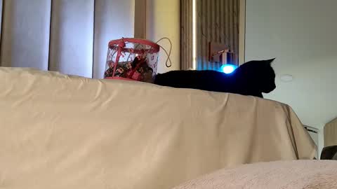 Nyxy online show from 11.20.25