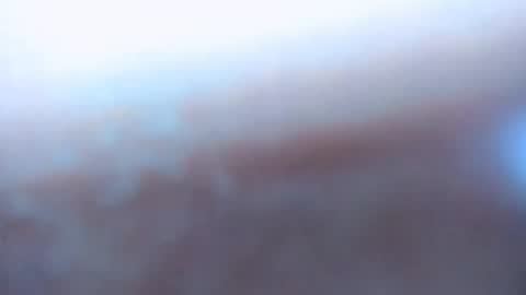 ansifia online show from 04.12.26