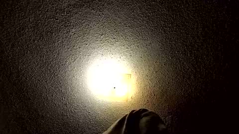 Snapshot of ibussbooties_007 chatting on 03.14.26 ibussbooties_007 online show from 03.14.26