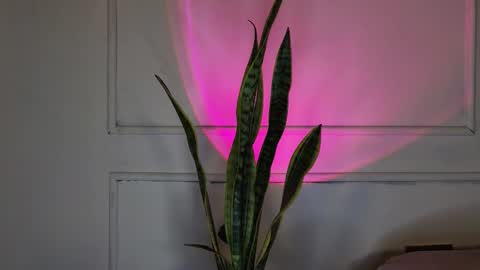 Snapshot of ice_princess__ chatting on 10.03.25 Crystall online show from 10.03.25