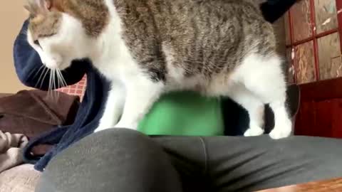 icums4u online show from 03.24.26