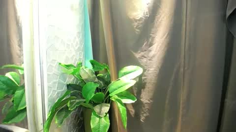 Heart online show from 02.03.26