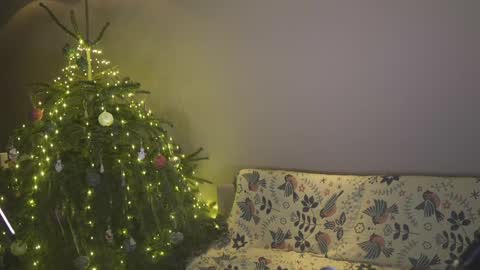 Belle online show from 01.04.25