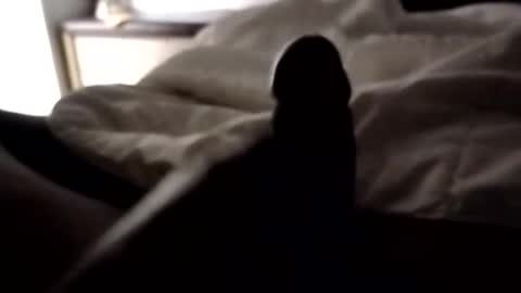 ihktqjtwzczh online show from 04.07.26