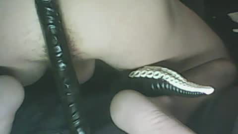 ikercheal online show from 01.29.25