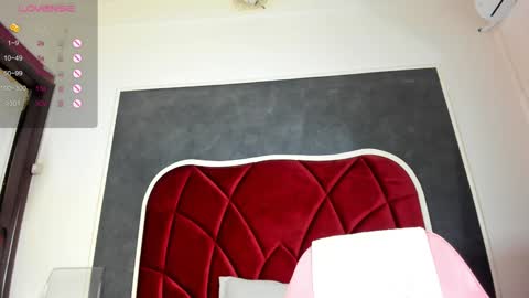 Snapshot of illegal_lorry chatting on 01.16.25 illegal_lorry online show from 01.16.25