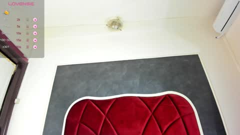 Snapshot of illegal_lorry chatting on 01.17.25 illegal_lorry online show from 01.17.25