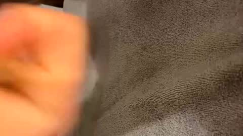 Snapshot of iltjoal69 chatting on 03.05.25 iltjoal69 online show from 03.05.25