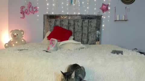 Snapshot of im_letty chatting on 02.24.25 Letty online show from 02.24.25