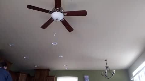 Iminyourroom online show from 01.31.25