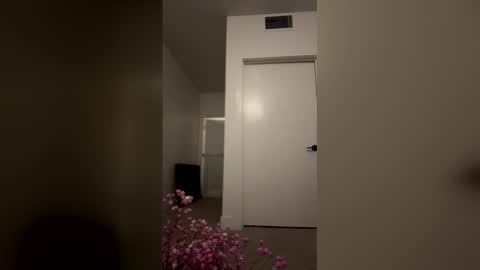 imlightskn online show from 04.09.26