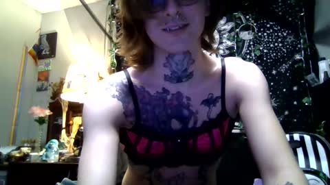 Snapshot of immascreamer chatting on 02.21.26 SlyKitten online show from 02.21.26
