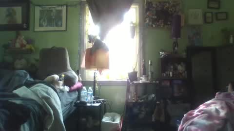 Snapshot of indigo_scorpio chatting on 02.05.25 indigo_scorpio online show from 02.05.25