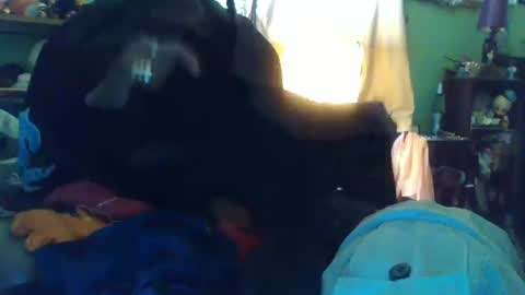 Snapshot of indigo_scorpio chatting on 10.13.25 indigo_scorpio online show from 10.13.25