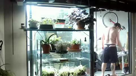 Snapshot of indigolvr chatting on 06.15.26 BroLOU online show from 06.15.26