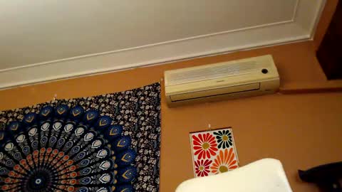 Africa online show from 02.18.25