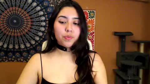 Africa online show from 02.27.25