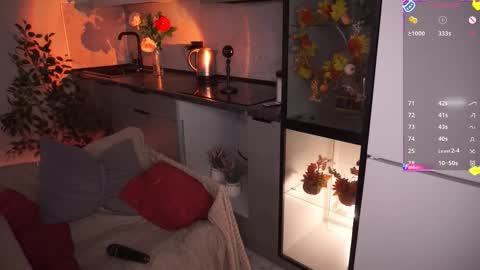 Irena Barr online show from 11.13.25