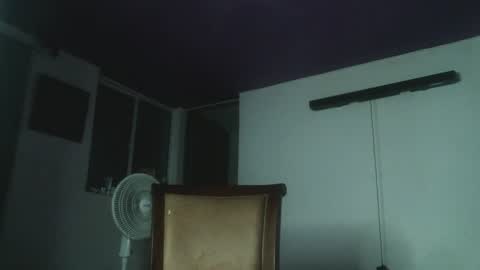 Camilla online show from 01.05.25