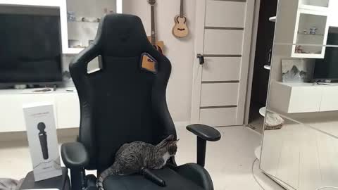 Snapshot of irwi_tomboy chatting on 12.26.24 Irwi Tomboy online show from 12.26.24