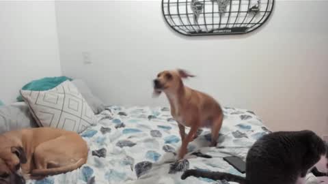 Isa online show from 12.27.24