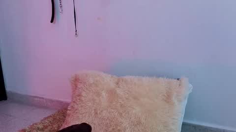 Issafoxx online show from 04.13.26