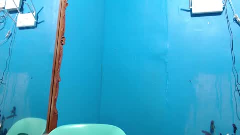 Snapshot of its_asiandave chatting on 01.01.25 DAVE online show from 01.01.25