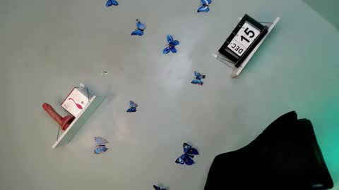 Bella online show from 12.15.25