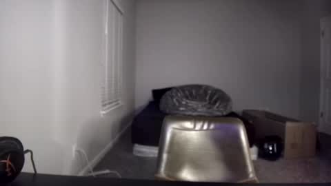 Snapshot of itstarzan chatting on 12.10.24 TARZAN online show from 12.10.24