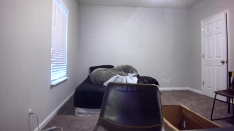 Snapshot of itstarzan chatting on 12.13.24 TARZAN online show from 12.13.24