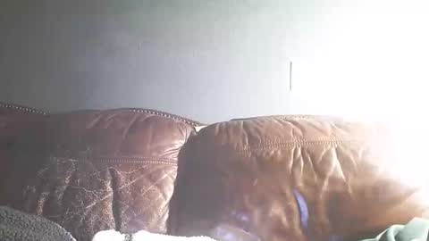 Snapshot of itstunechi chatting on 02.15.25 itstunechi online show from 02.15.25